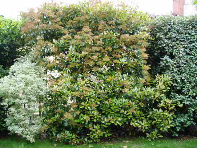 photo1