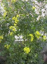 photo1