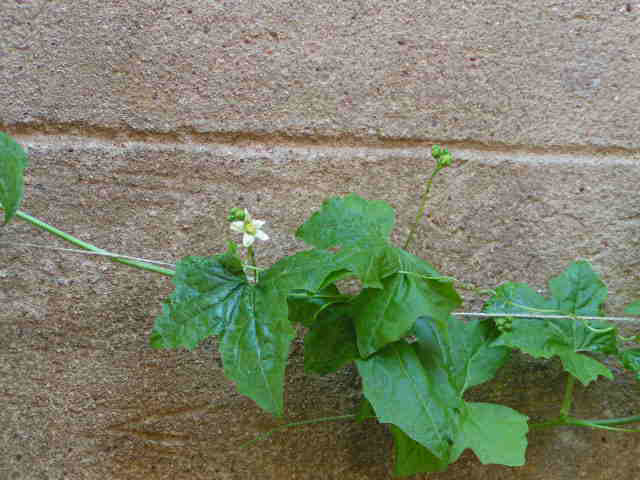 photo1