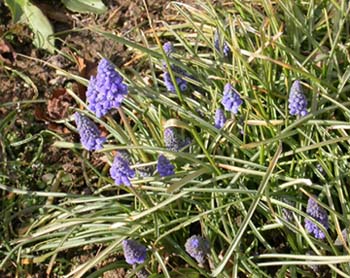 photo2