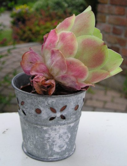 photo2