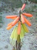 photo2