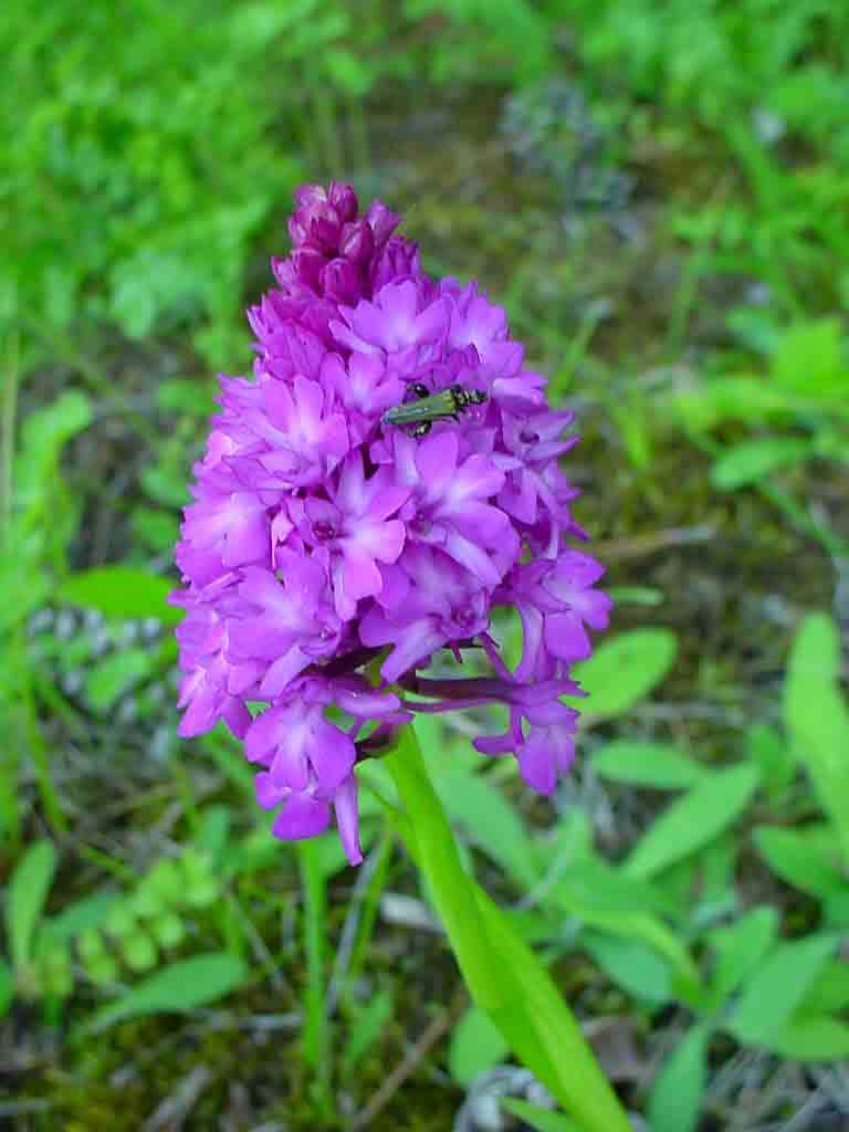 photo1