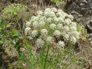 photo1