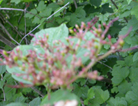 photo1