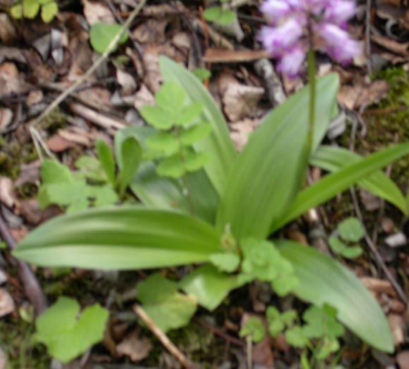 photo1