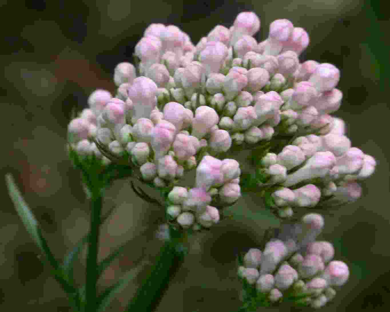 photo2