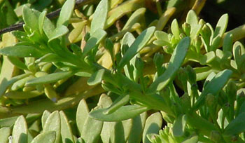 photo2
