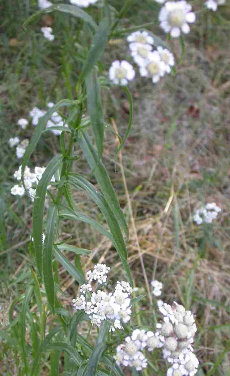 photo1