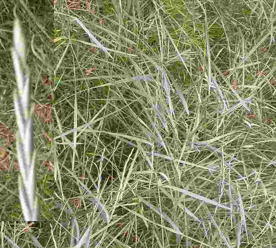 photo1