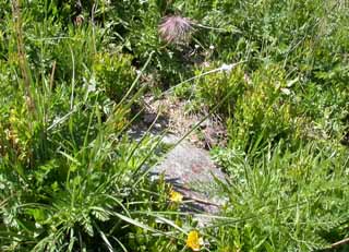 photo1