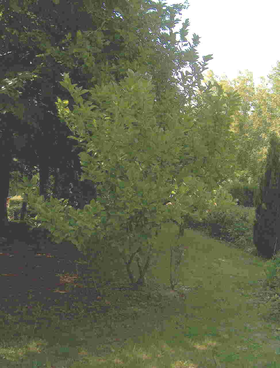 photo1