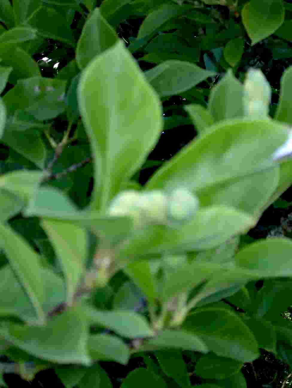 photo2