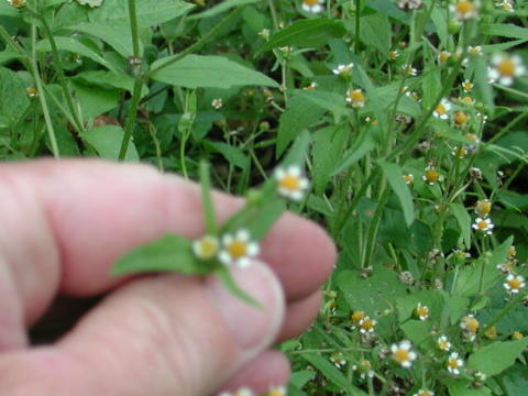 photo1