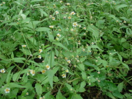 photo2