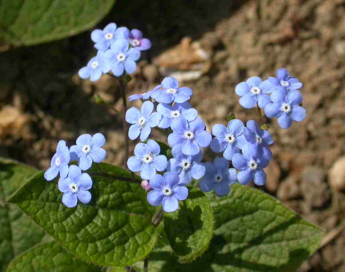 photo1