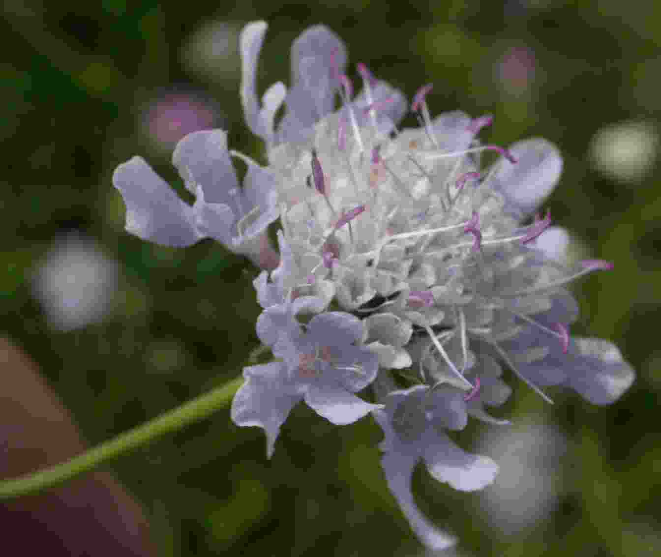 photo1