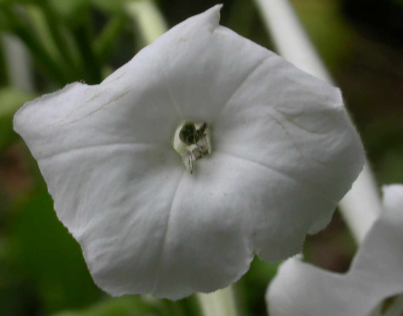 photo2