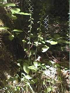 photo1