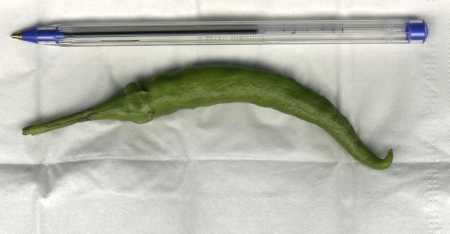 photo1