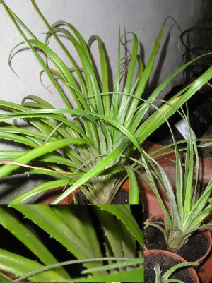 photo1