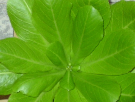 photo2