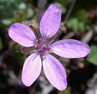 photo1