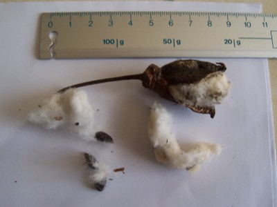 photo1