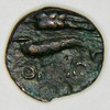 SKYTHIA (ou Samarta) Olbia - 4s. BC - Dauphin et grain