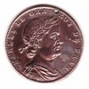Charles III (Le Gros) (a) - Série Métallique des Rois de France N°28 - (881) Charles III (Le Gros) (a) - Série Métallique des Rois de France N°28 - (881)