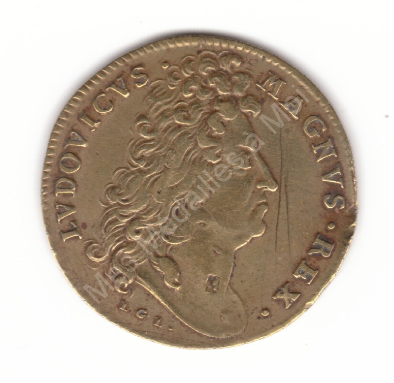 Louis XIV-La guerre contre l'Europe. Nuremberg Louis XIV-La guerre contre l'Europe. Nuremberg