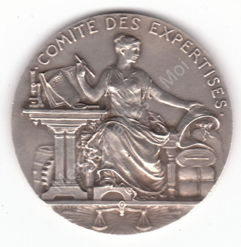 COMITE DES EXPERTISES COMITE DES EXPERTISES