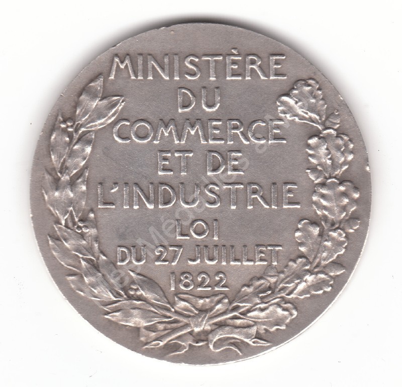 COMITE DES EXPERTISES COMITE DES EXPERTISES