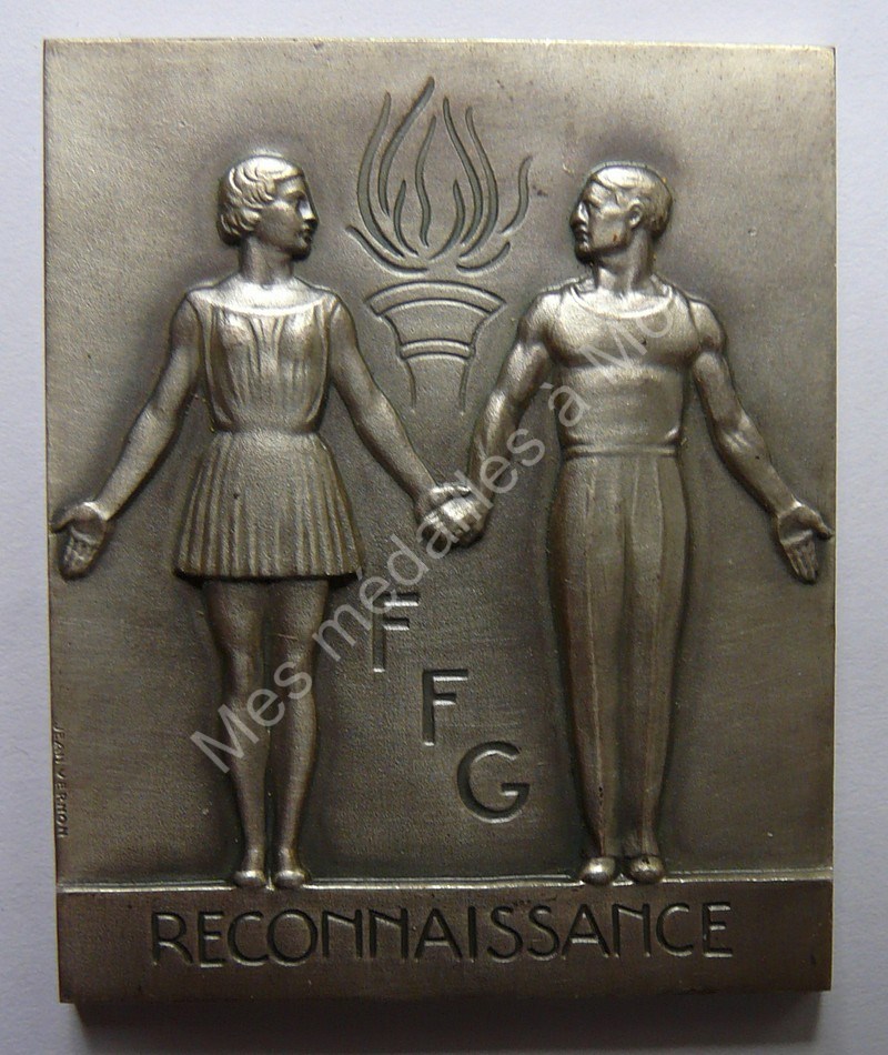 Fédération Française de Gymnastique Fédération Française de Gymnastique