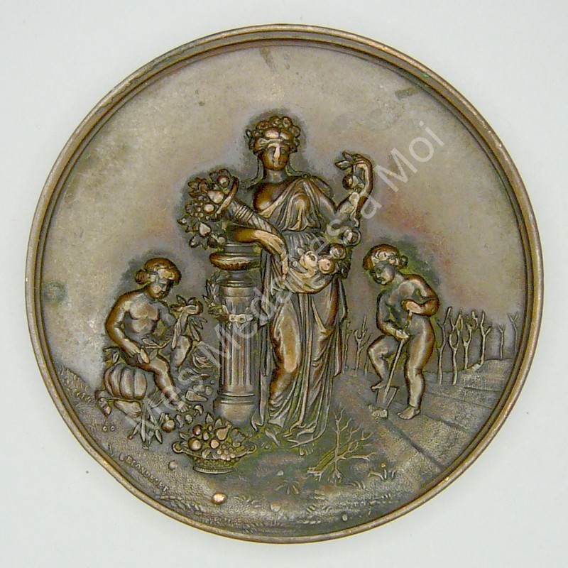Société Horticole du Loiret - 1890 Société Horticole du Loiret - 1890